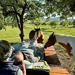 Ranc