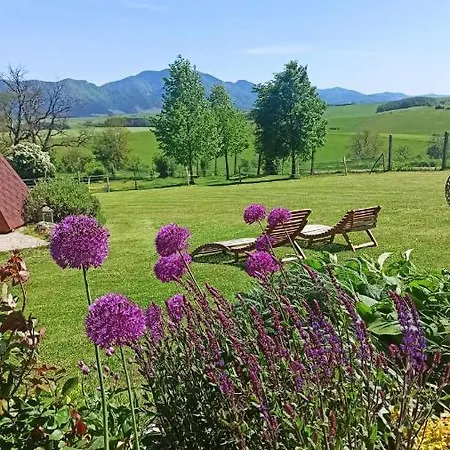 Appartement Ranc *