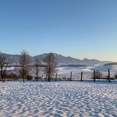 Ranč