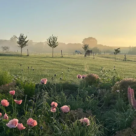 Apartament Ranc Martin