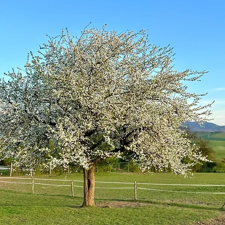 Ranč Apartamento