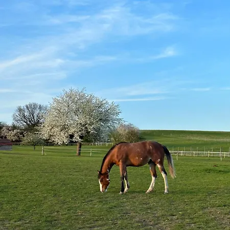 Ranč