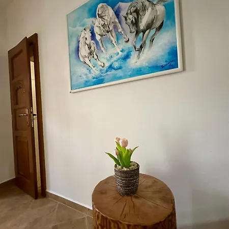 Ranc Apartment