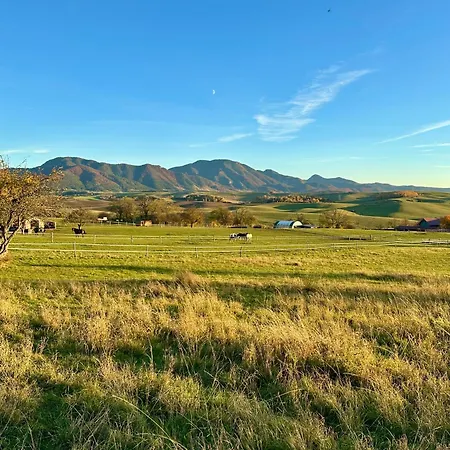 Ranc * マルティン