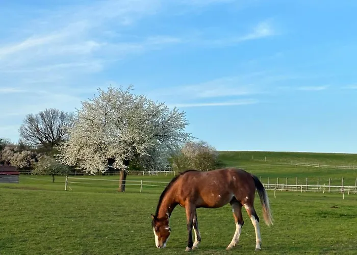 Ranc